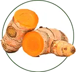 Turmeric